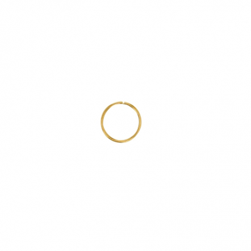 Piercing pour nez ou d'oreilles Or