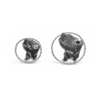 Boucle d'oreille carte de la Guyane encerclée, argent
